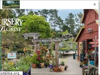 cambrianursery.com