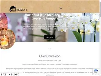 cameleonorchids.com