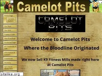 camelotpitbulls.com
