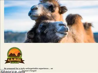 camelsafari.com