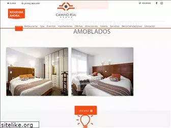 caminorealaparthotel-spa.com