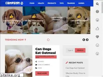 campaigndogacademy.com