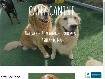 campcaninedogspa.com