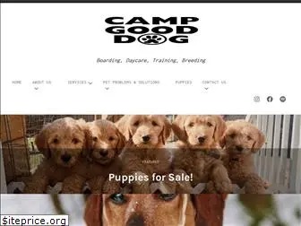 campgooddog.com