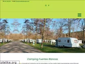 campingburgos.com
