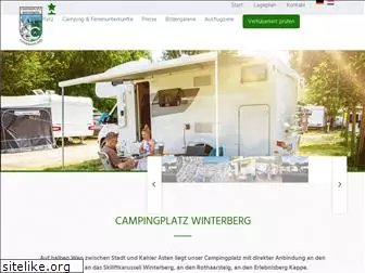 campingplatz-winterberg.de