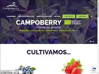 campoberry.com