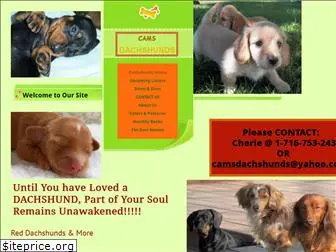 camsdachshunds.com