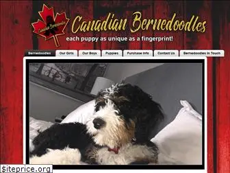 canadianbernedoodles.ca