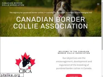 canadianbordercollies.org