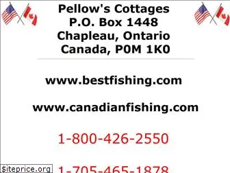 canadianfishing.com