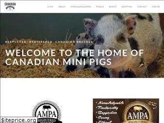 canadianminipigs.ca