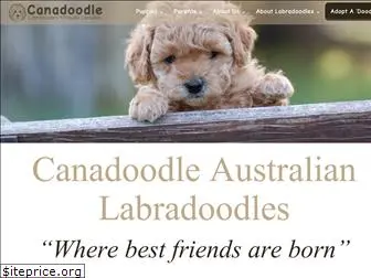 canadoodles.com