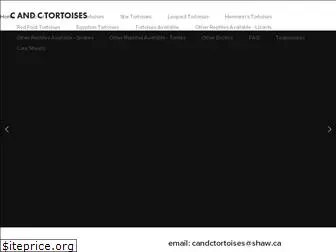 candctortoises.com