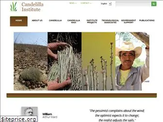 candelilla.org