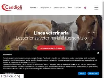 www.candioli.it