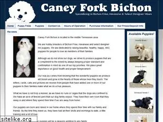 caneyforkbichon.com