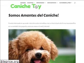 caniche-toy.com