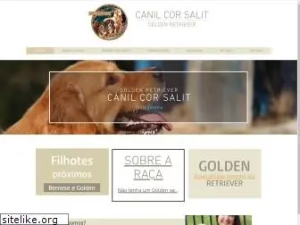 canilcorsalit.com