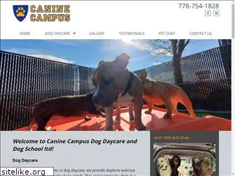 caninecampusdaycare.com