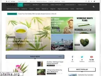 cannabisbusinessnow.com