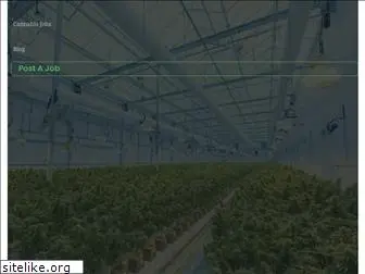 cannabisstack.com