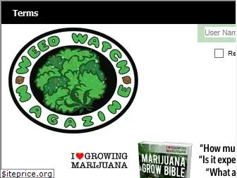 cannabistv.com