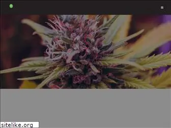 cannavidacannabis.com