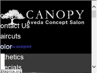 canopyavedasalon.com