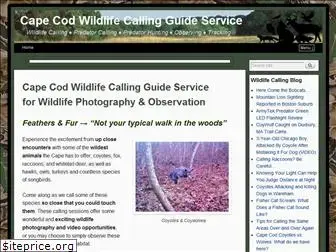 capecodwildlifecalling.com