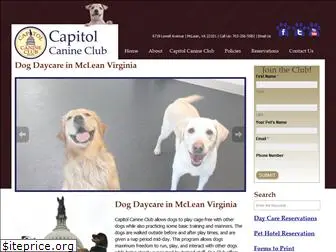 capitolcanineclub.com