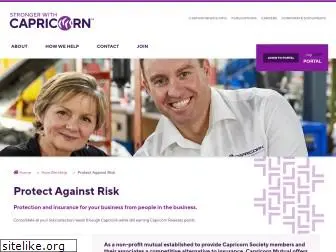 capricornrisk.com