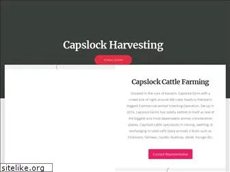 capslockgt.com