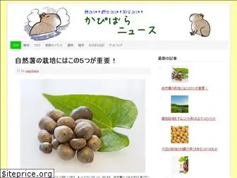 capybara-news.com