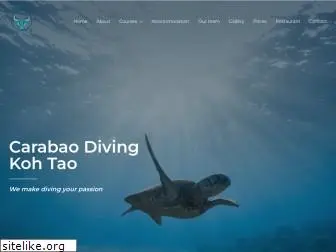 carabaodivingkohtao.com