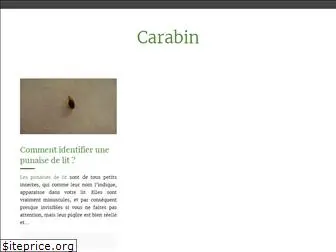 carabin.org