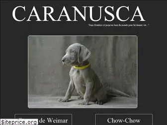 caranusca.com