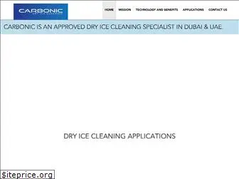 carbonicdryicecleaning.com