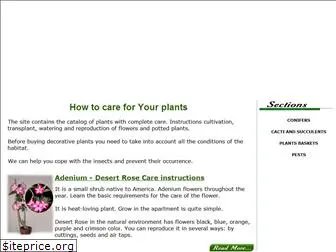 care-plants.com