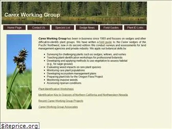 carexworkinggroup.com