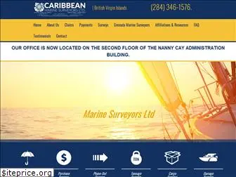 caribsurveyors.com