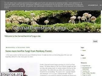 carmarthenshirefungi.co.uk