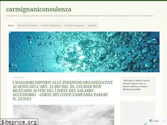 carmignaniconsulenza.com