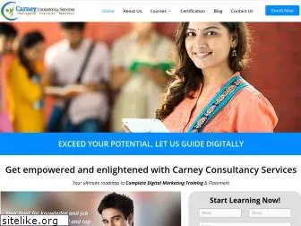 carneyconsultancyservices.com