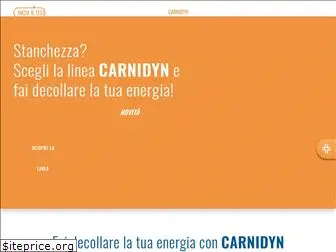 carnidyn.it