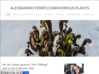 carnivorousplantferri.weebly.com