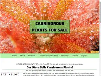 carnivorousplantsusa.com