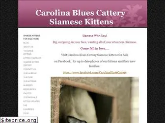 carolinabluescattery.com