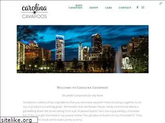 carolinacavapoos.com