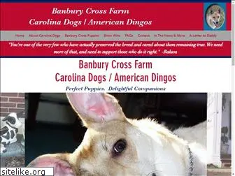 carolinadogs.org